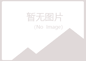 白山迎夏能源有限公司